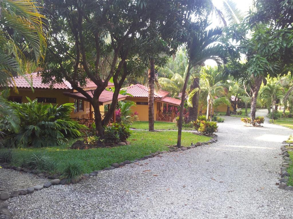 Esencia Hotel And Villas Playa Santa Teresa  Quarto foto